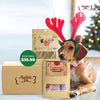 'SAVE $19.90': Absolute Bites Dog Treats Christmas Surprise Box - Kohepets