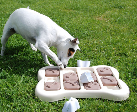 Nina Ottosson Brick Interactive Dog Toy - Kohepets