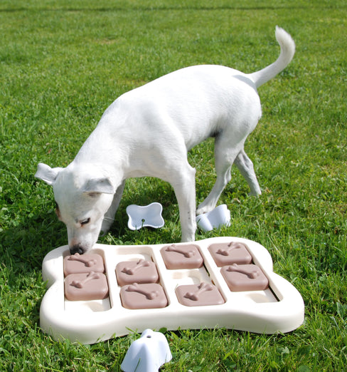 Nina Ottosson Brick Interactive Dog Toy - Kohepets