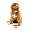 $10 W/ MIN. $60 SPEND: FuzzYard Take Away Coffee Plush Dog Toy - Kohepets