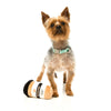 $10 W/ MIN. $60 SPEND: FuzzYard Take Away Coffee Plush Dog Toy - Kohepets